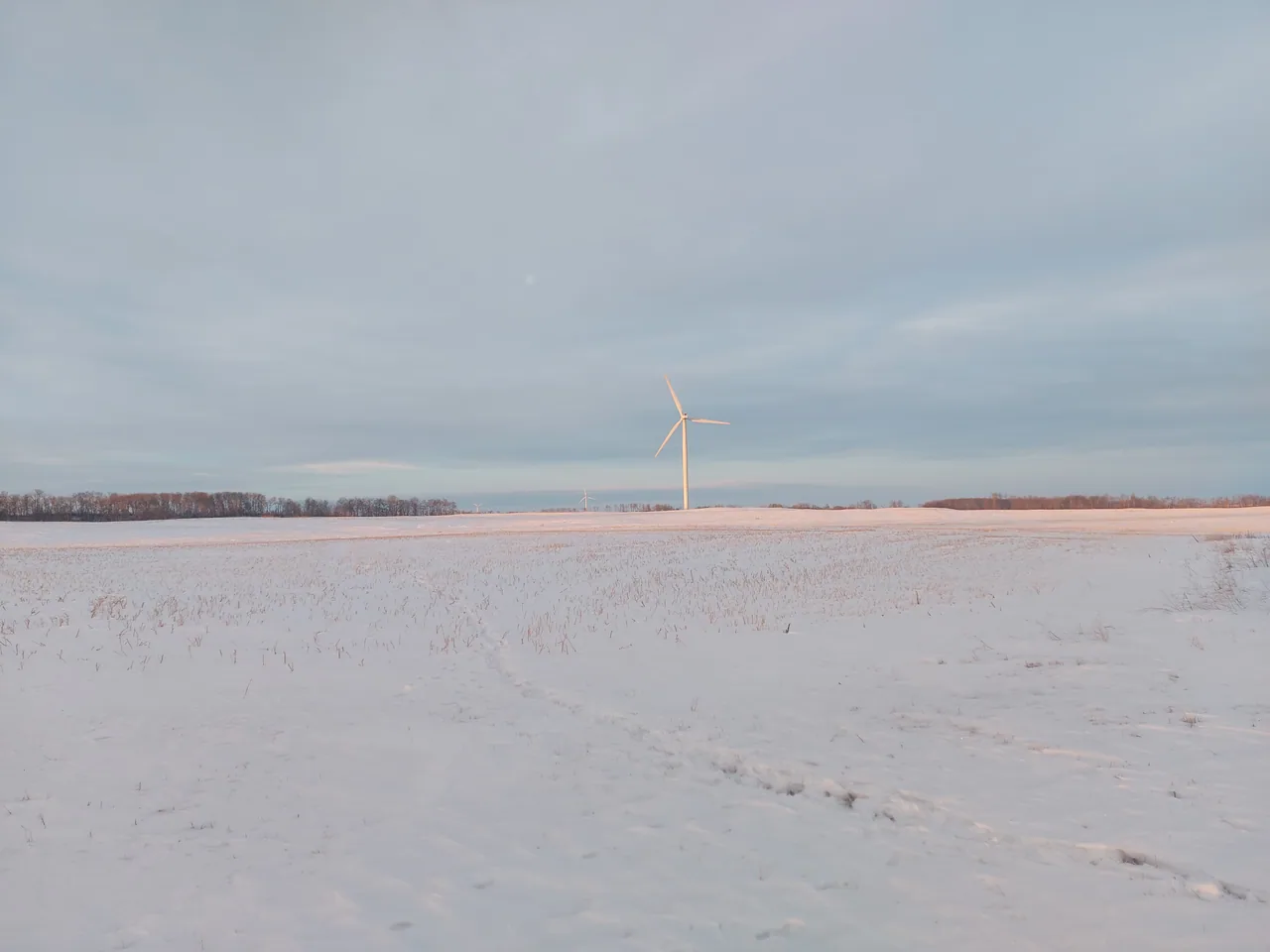 A wind turbine in a snowy Saskatchewan landscape.